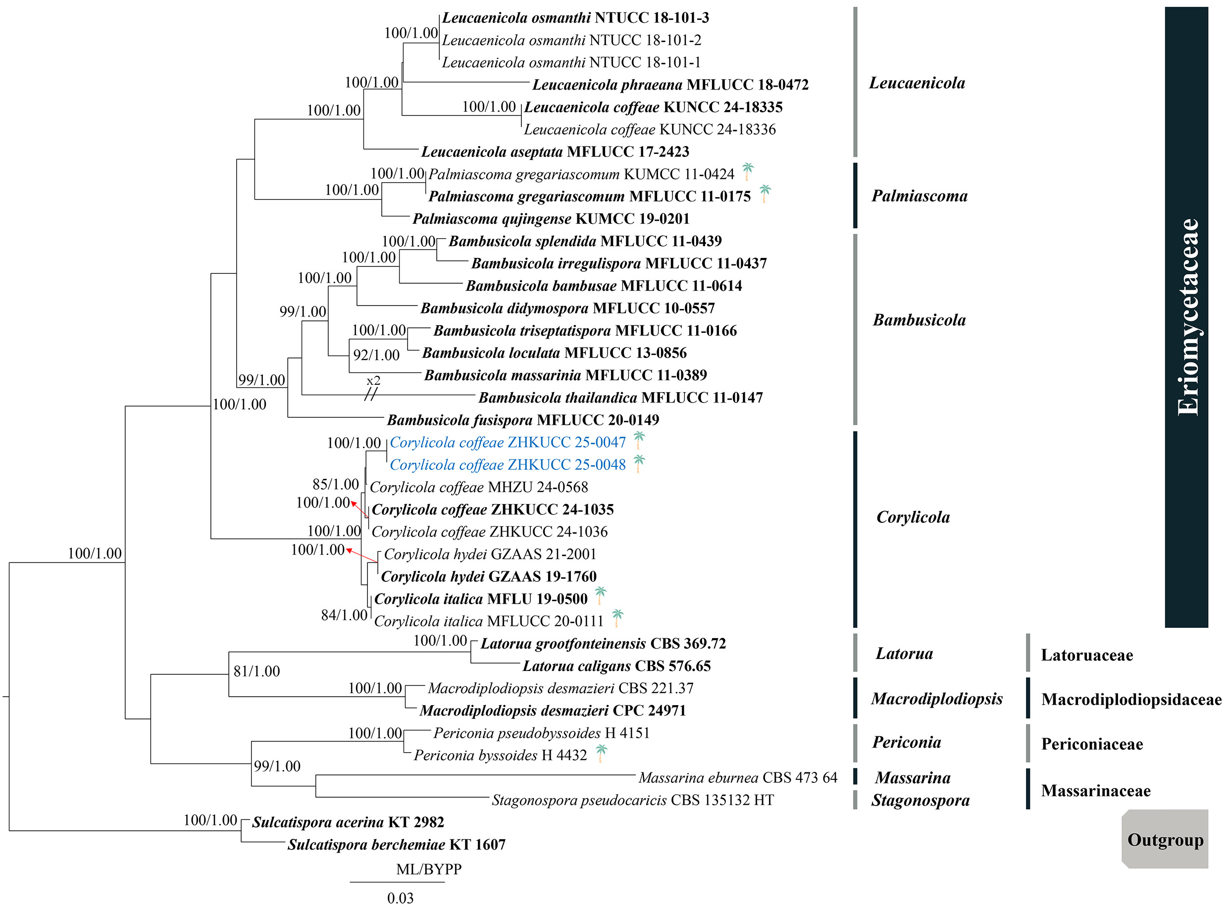 Figure 22